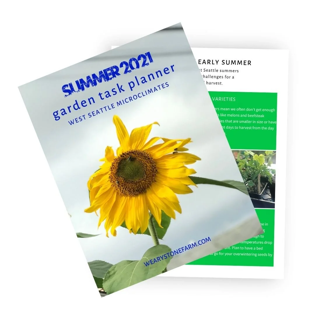 2021 Summer Task Planner Promo-Offer-Template.jpg
