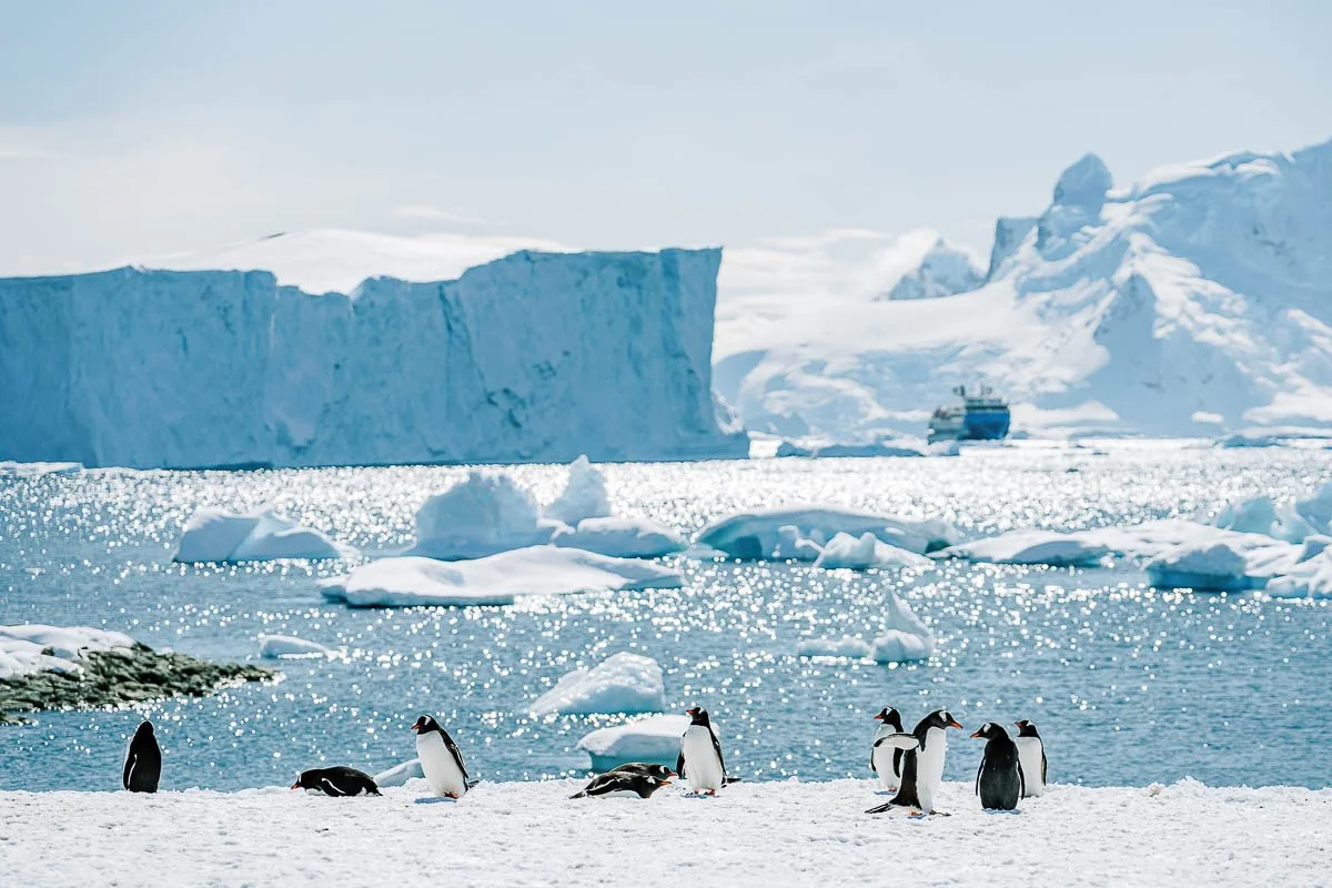 Tamara_Susa_Antarctica-03020-2.jpg