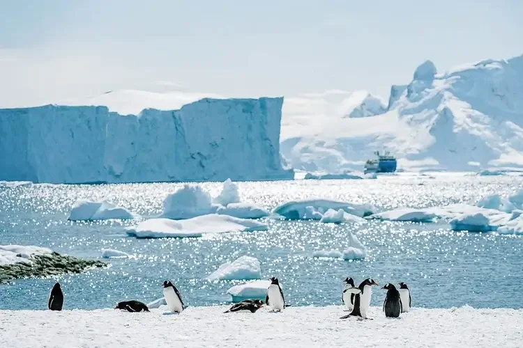 Tamara_Susa_Antarctica-03020-2.webp