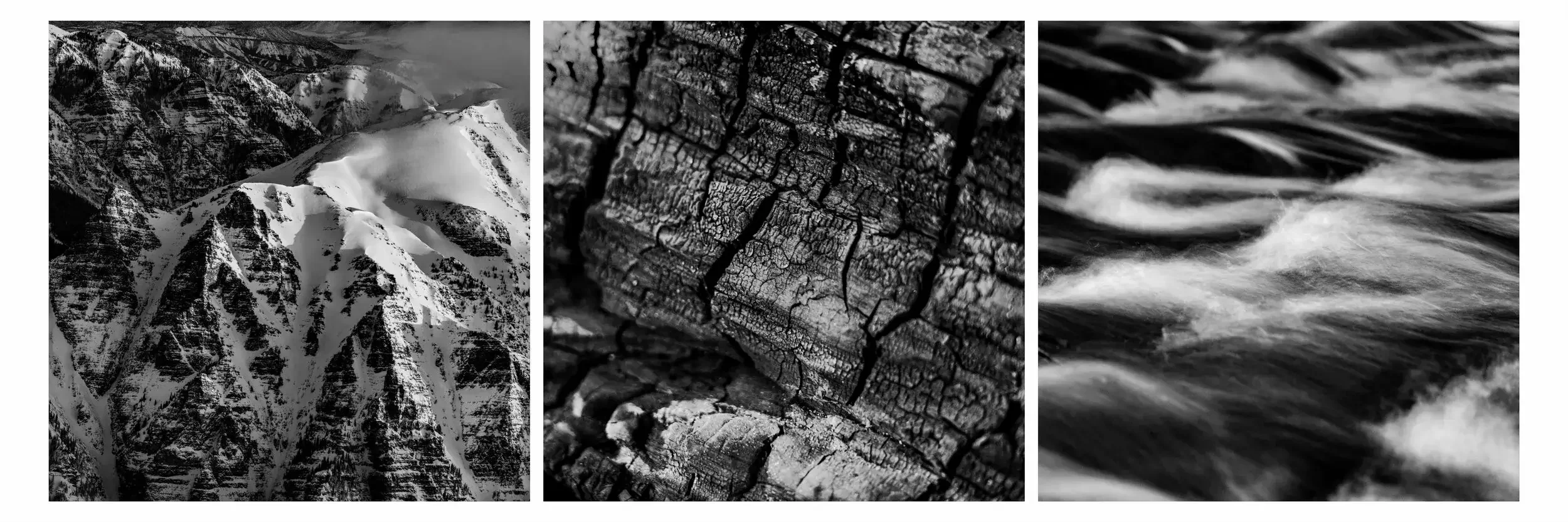 Three black and white photographs of natural textures and elements. The first shows a close-up of tree bark with rough, horizontal ridges, the second depicts a rocky surface with a vine and leaves growing over it, and the third displays cracked, weat