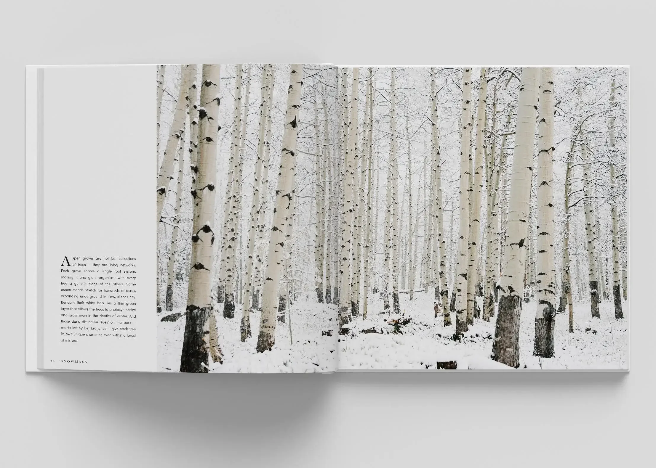 Snowmass first photography book capturing landscapes and seasons