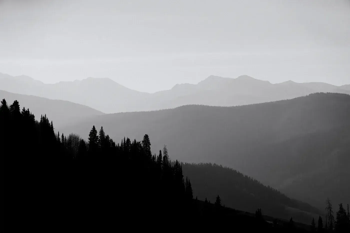 Black and white photograph of layered mountain ranges with evergreen forests in the foreground
