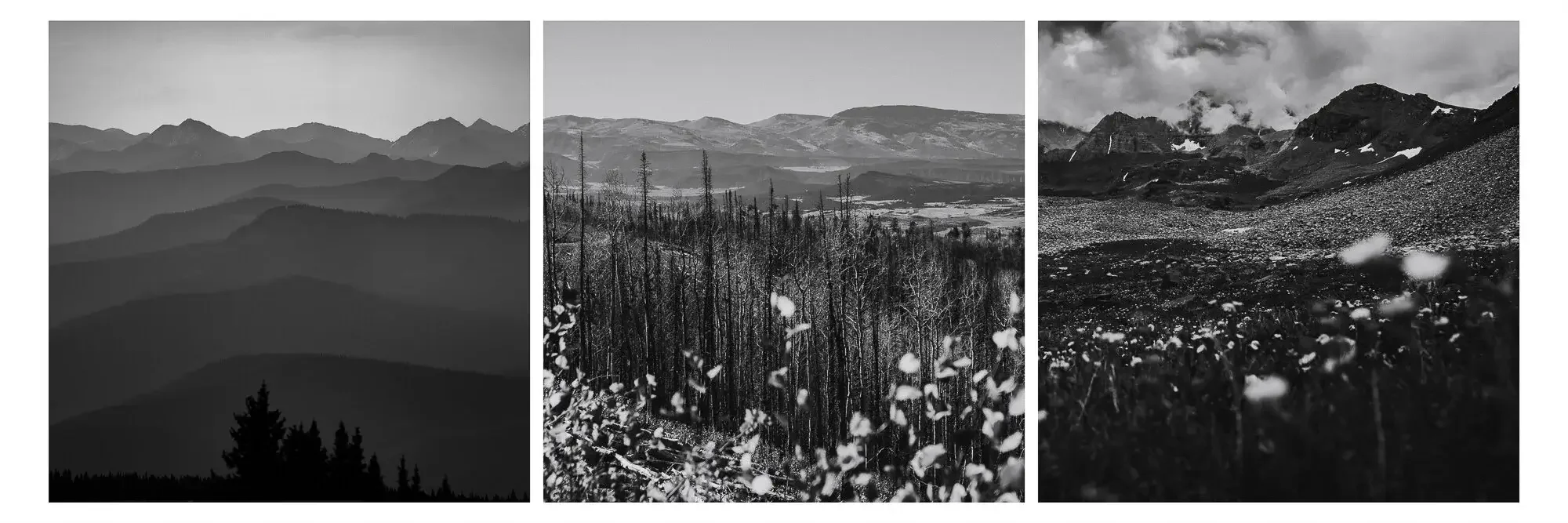Black and white panoramic images of mountain landscapes with trees, hills, and clouds.
