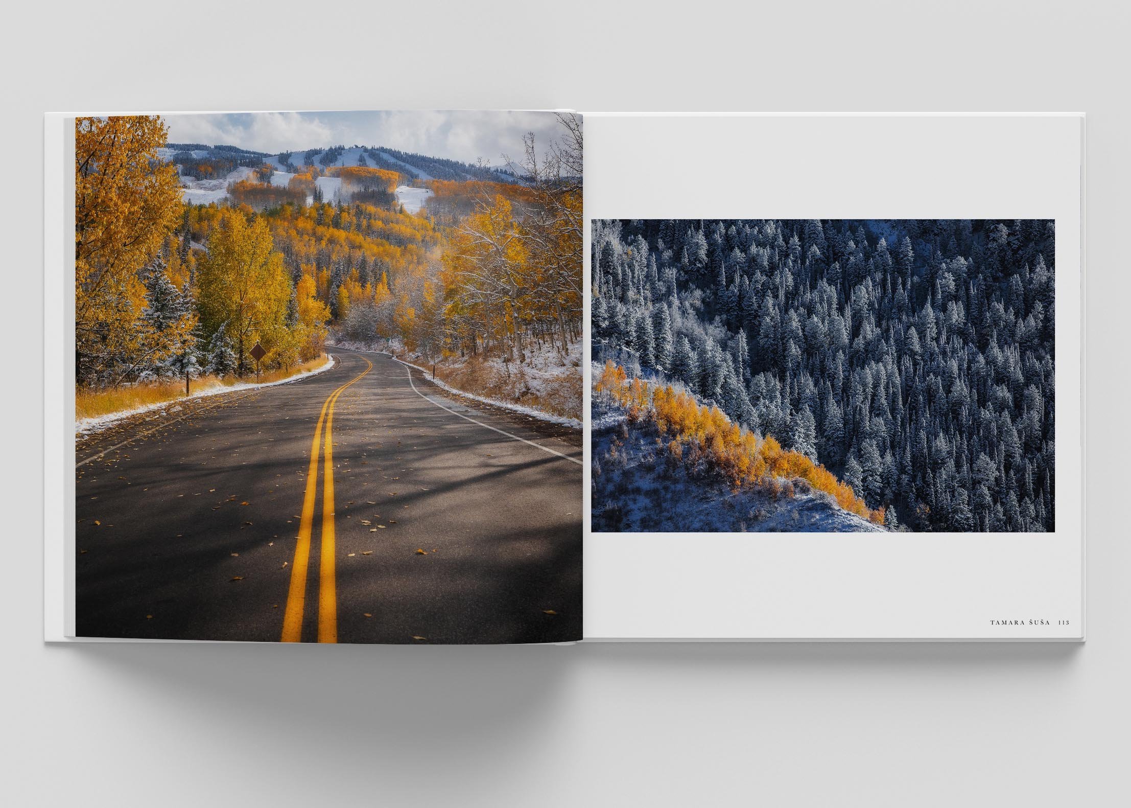 Four Seasons in Snowmass pages5.jpg