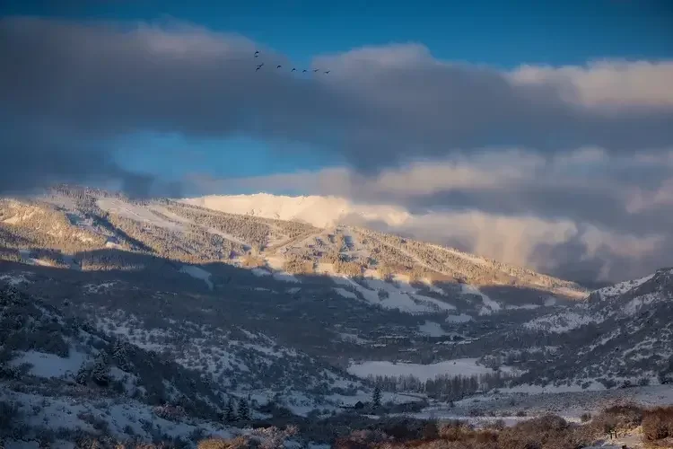 Snow-covered mountain landscape with a valley, trees, and a cloudy sky, and a flock of birds flying overhead.
