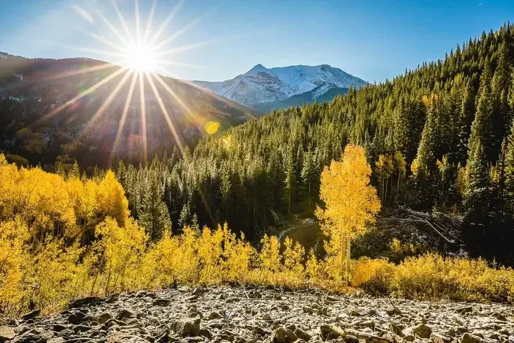 Sunlit mountain landscape with snow-capped peaks, dense evergreen forest, and autumn yellow trees.

