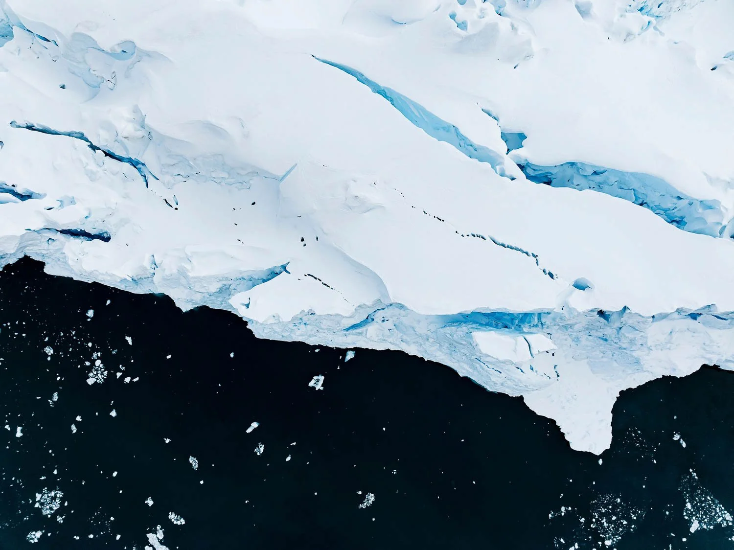 Tamara_Susa_Antarctica_Ice_Axe_Expeditions-60.jpg
