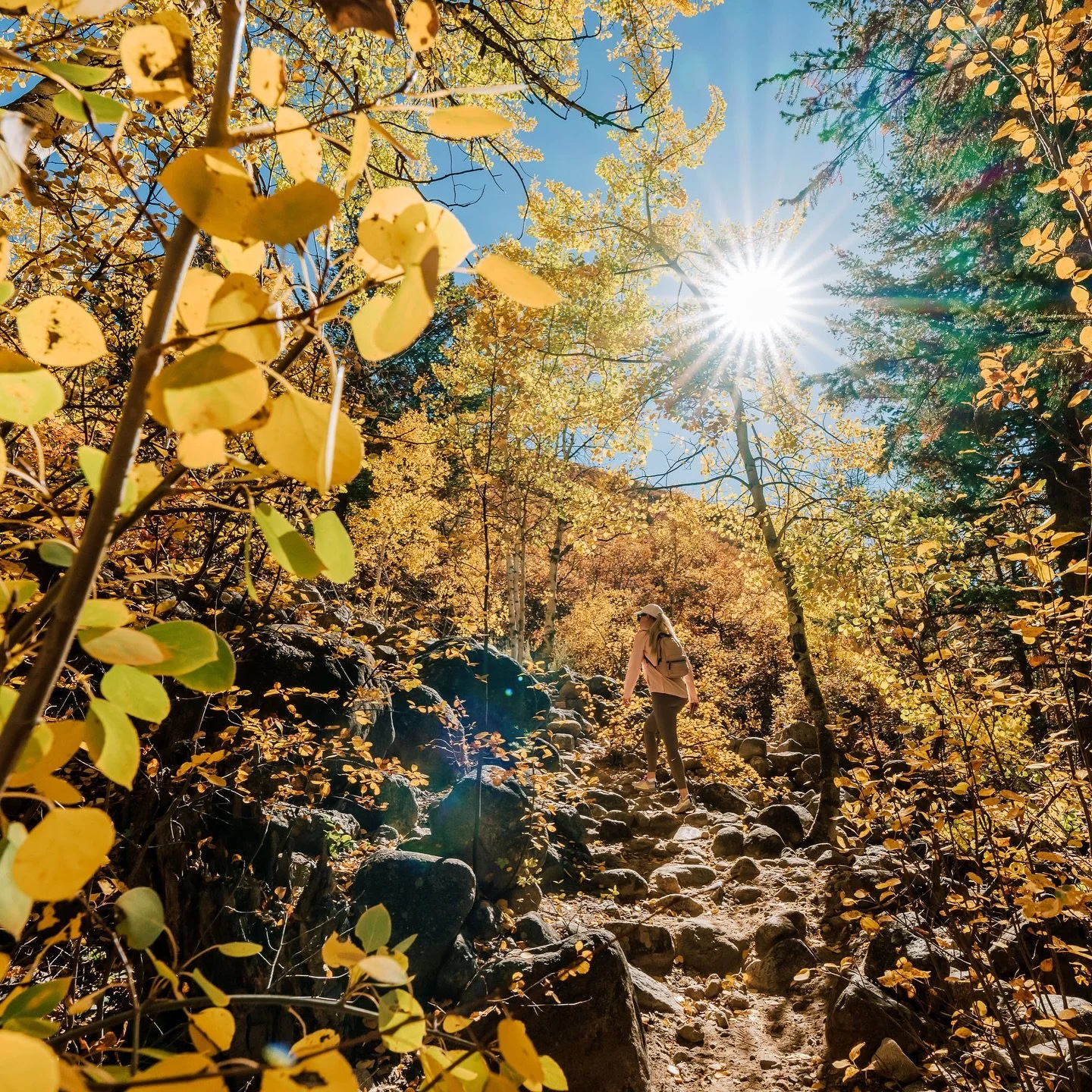 This fall has been one for the books&mdash;quite literally&mdash;some of the new photos have made it last minute into my new book 😄

What a beautiful time of the year to share trails with friends!

#aspenfall #coloradofallcolors #aspensnowmass #aspe