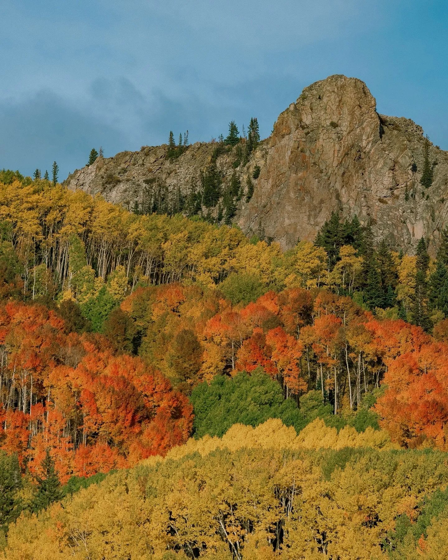 The red patch on Kebler always delivers 😍

Only a couple weeks left for my fall print sale! Check out info in my story highlights!

#bethexperience #coloradofallcolors #keblerpass