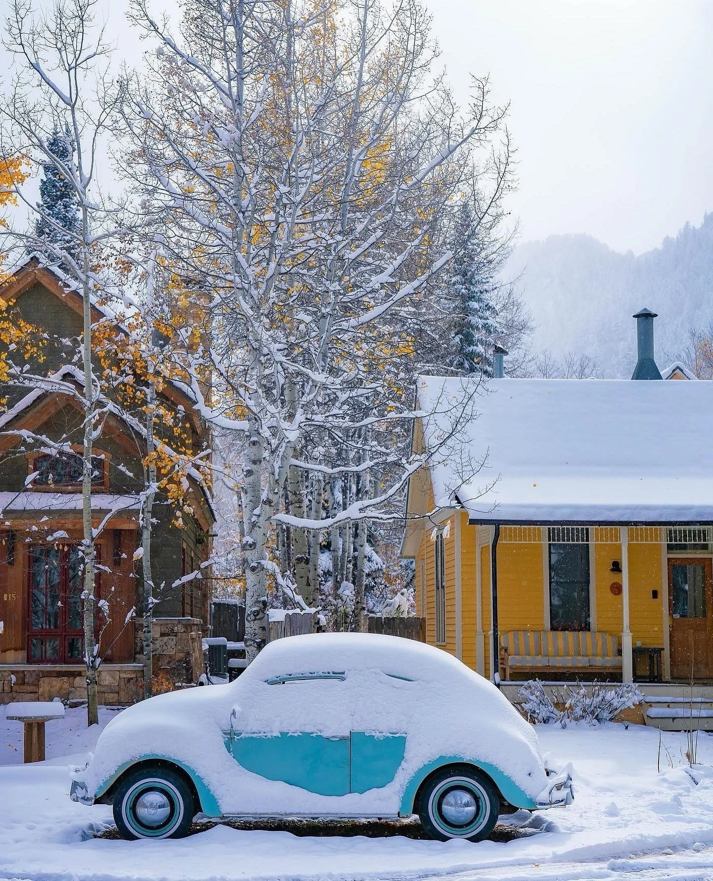 We haven&rsquo;t had a proper clash of seasons in years - hoping for the snow line to creep a little lower after this current storm ☺️🍂❄️

#bethexperience #aspensnowmass #aspenco #snowmass #coloradofallcolors #clashofseasons #fallmeetswinter