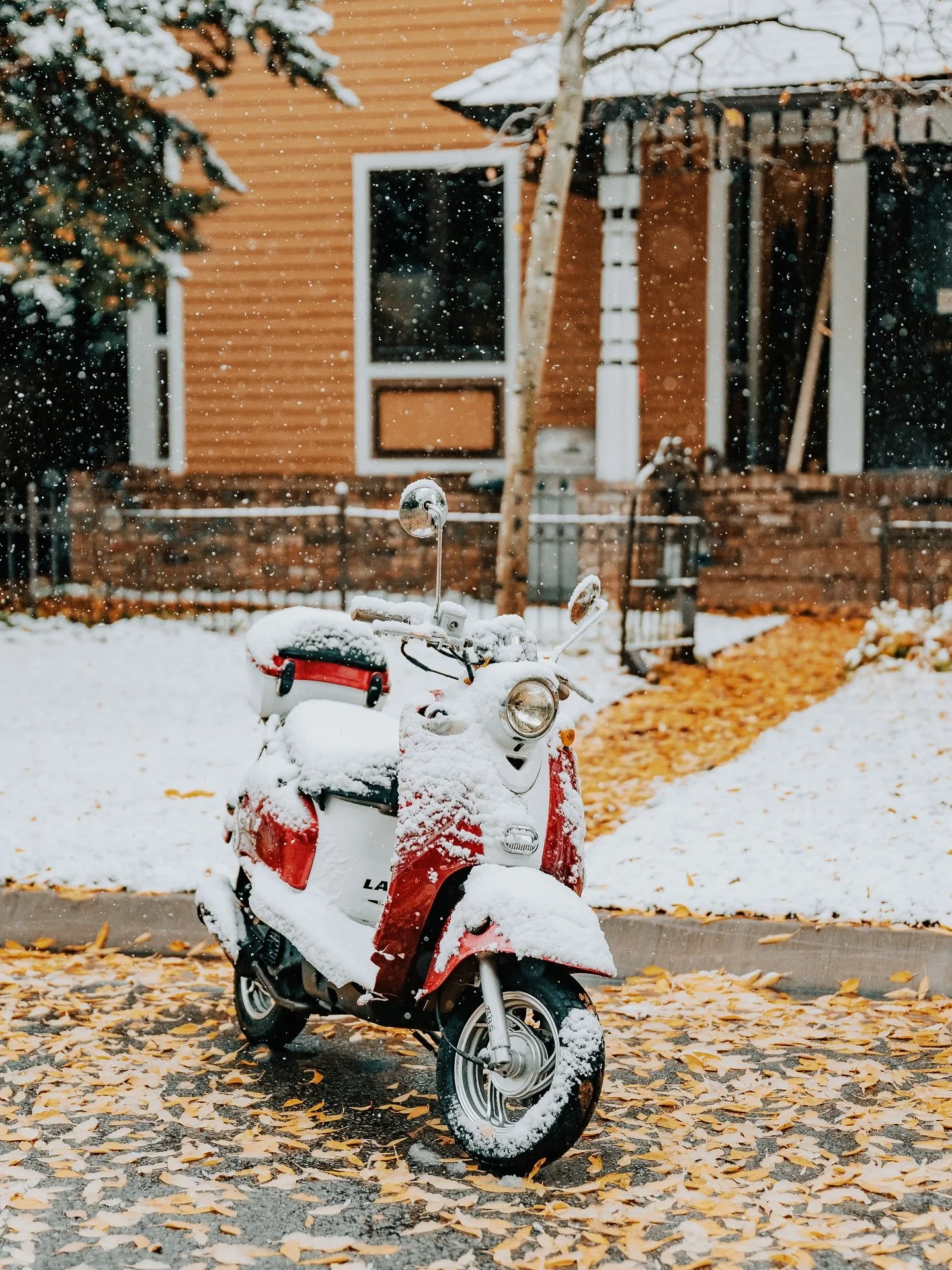 A stroll through Aspen&rsquo;s West End on a snowy October morning ❄️🍂

#bethexperience #aspensnowmass #aspenco #coloradofallcolors