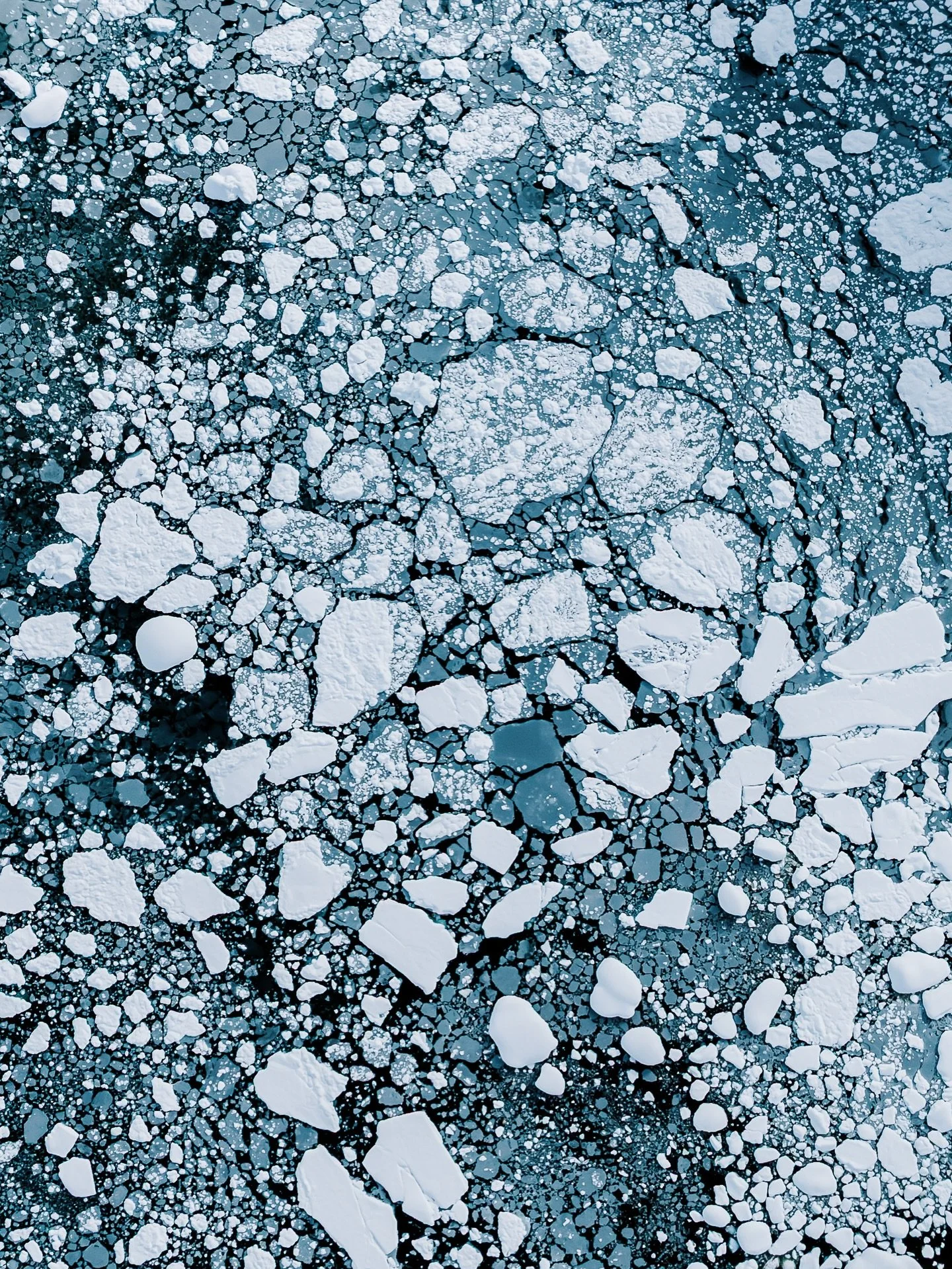 Anatomy of ice - Aerial abstractions from the Antarctic peninsula 

Available as prints 🖼️

@iceaxeexpeditions 

#fineartprint #anatomyofice #aerialabstract #icephotography #antarctica