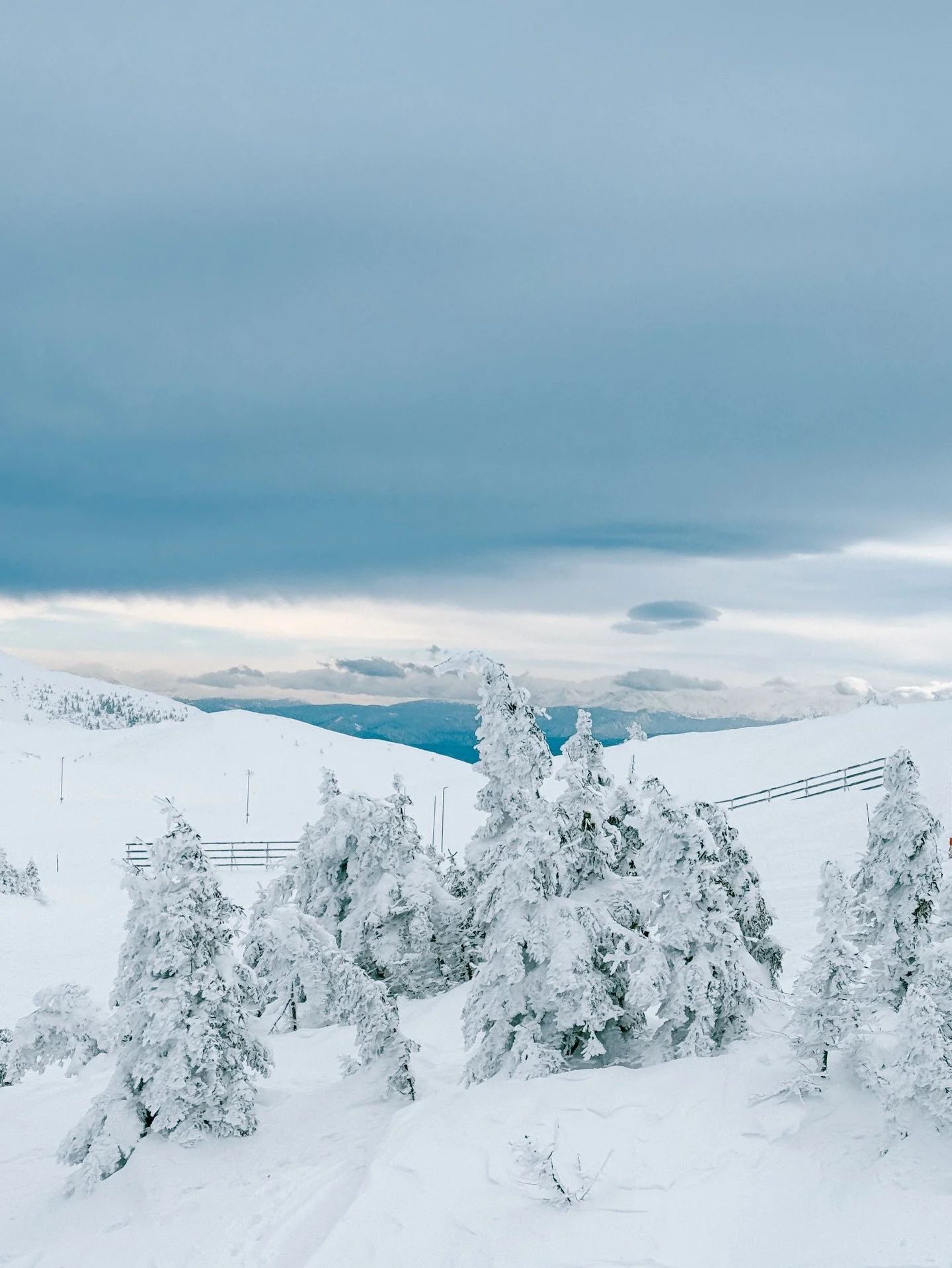 I learned how to snowboard at @jahorina about 20 years ago and the love for the sport changed the entire course of my life since. I&rsquo;ve always wanted to come back here, to revisit the mountain where it all started. 

Grateful to have been hosted