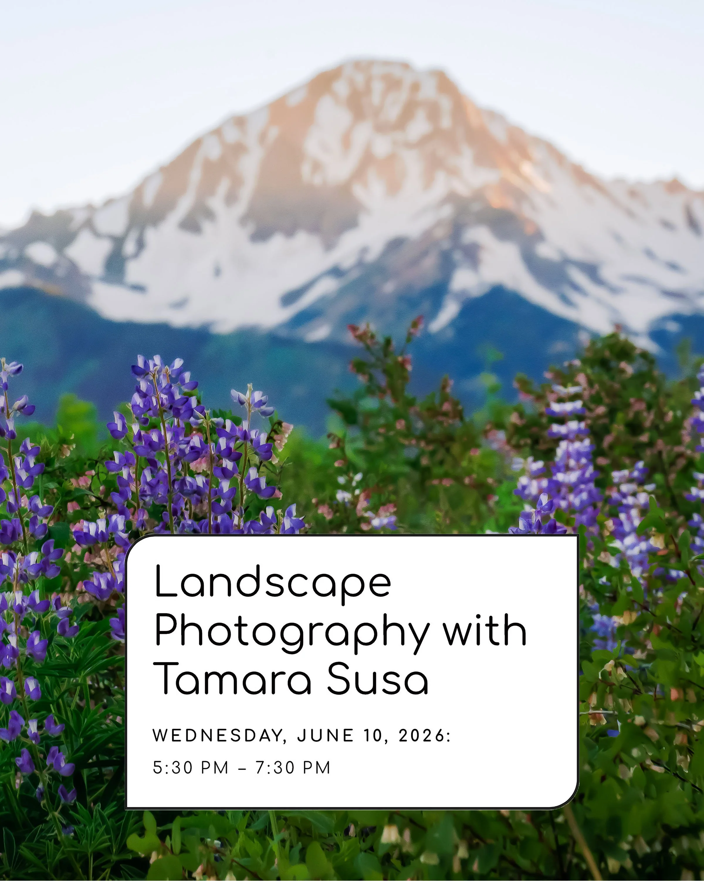 Landscape photography workshop