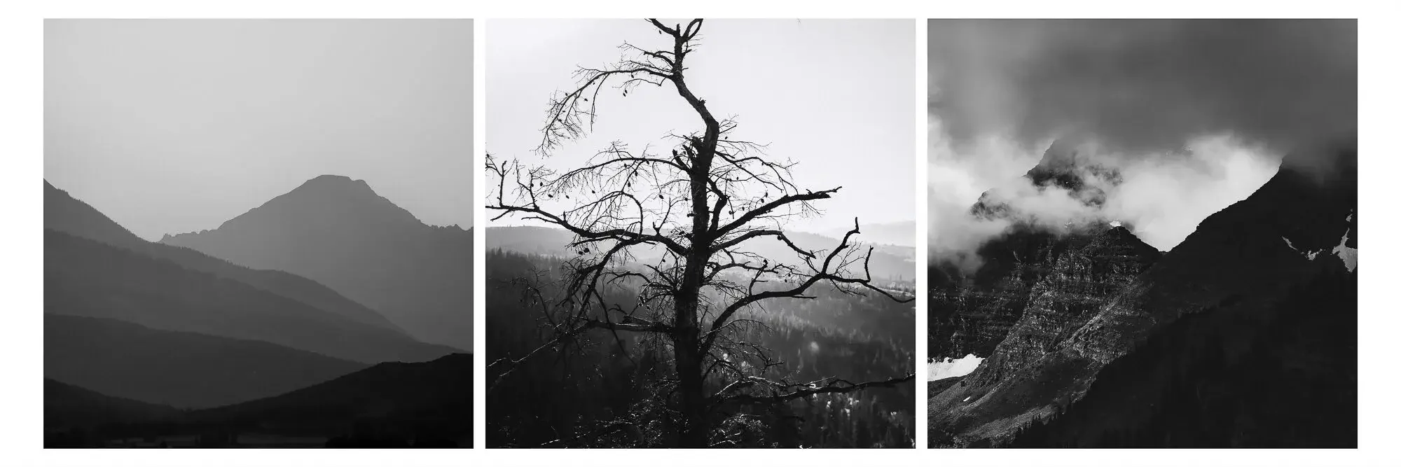 Three black and white landscape photographs of mountains, trees, and clouds.