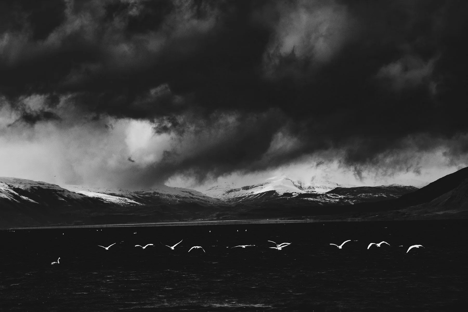 Tamara_Susa_Iceland_FineArtPrints-42.jpg
