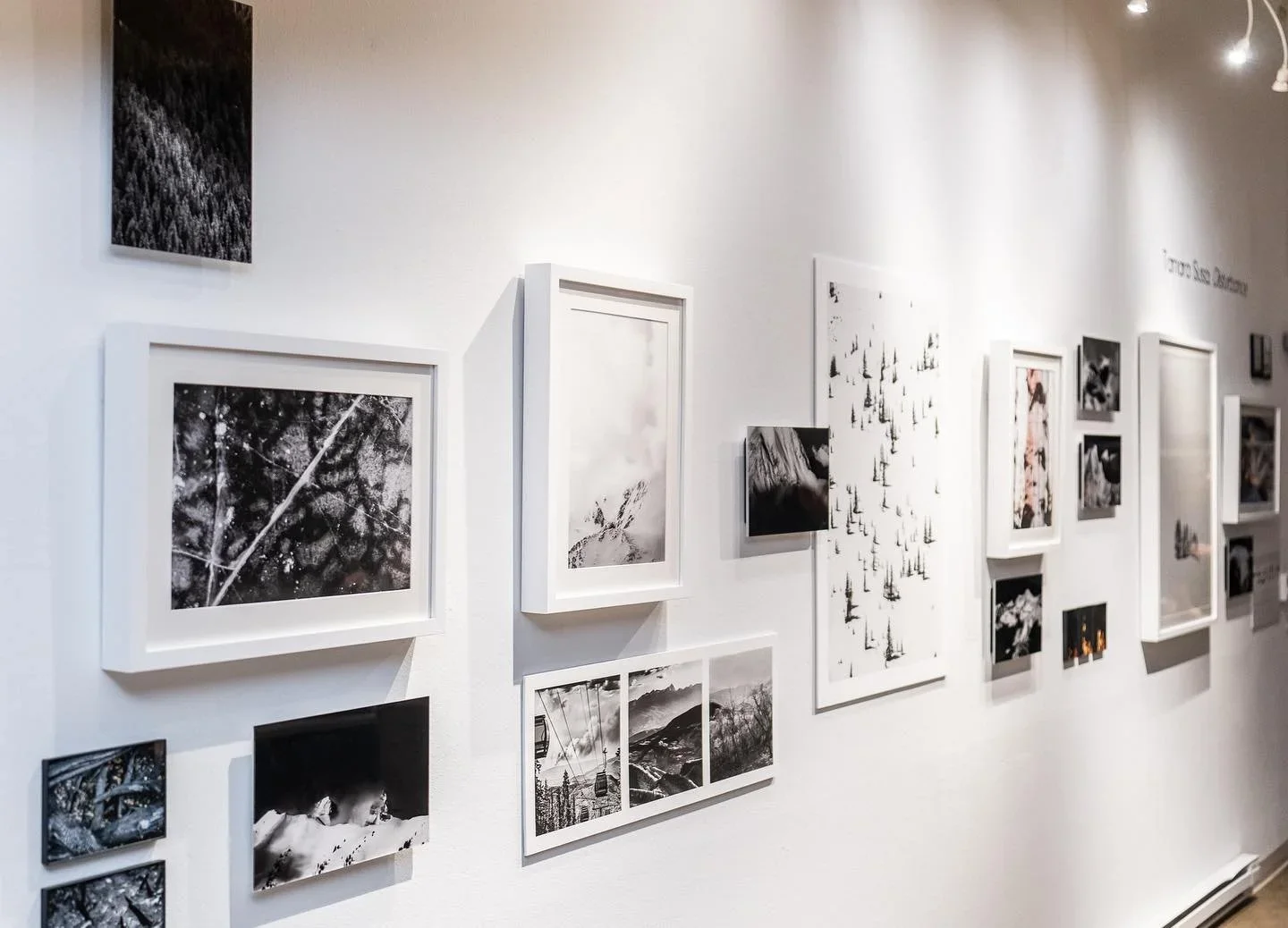 Gallery wall featuring black and white landscape and nature photographs in white frames.