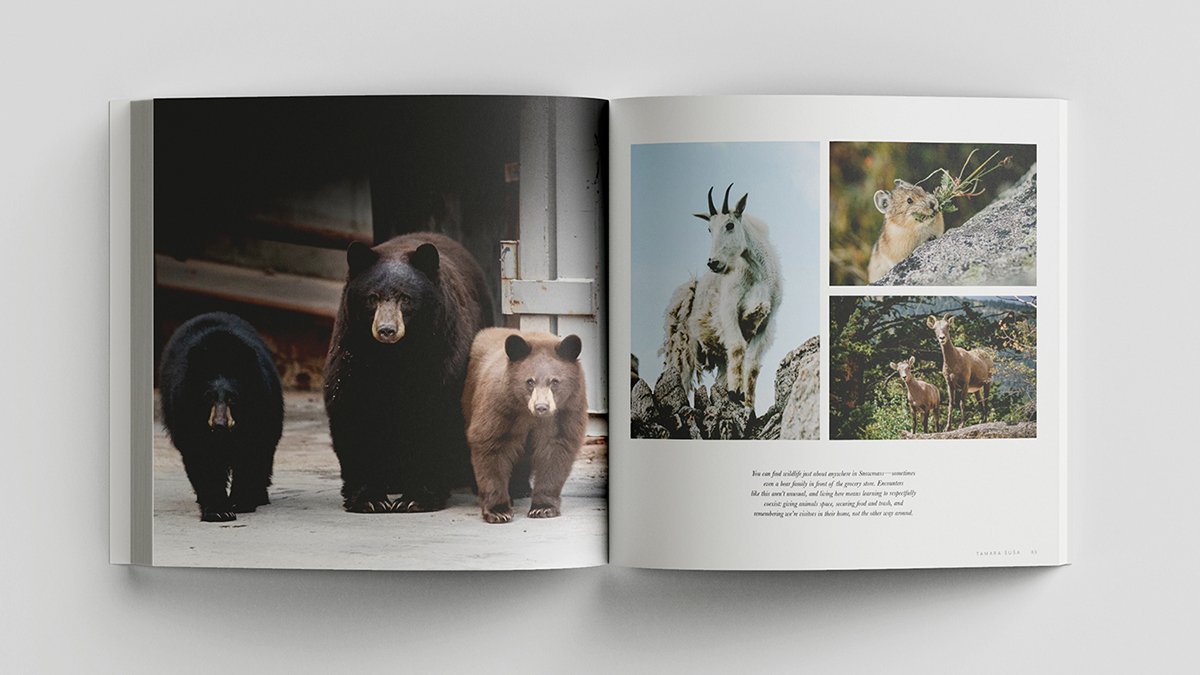 Snowmass_Book_Second_Edition_1.jpg