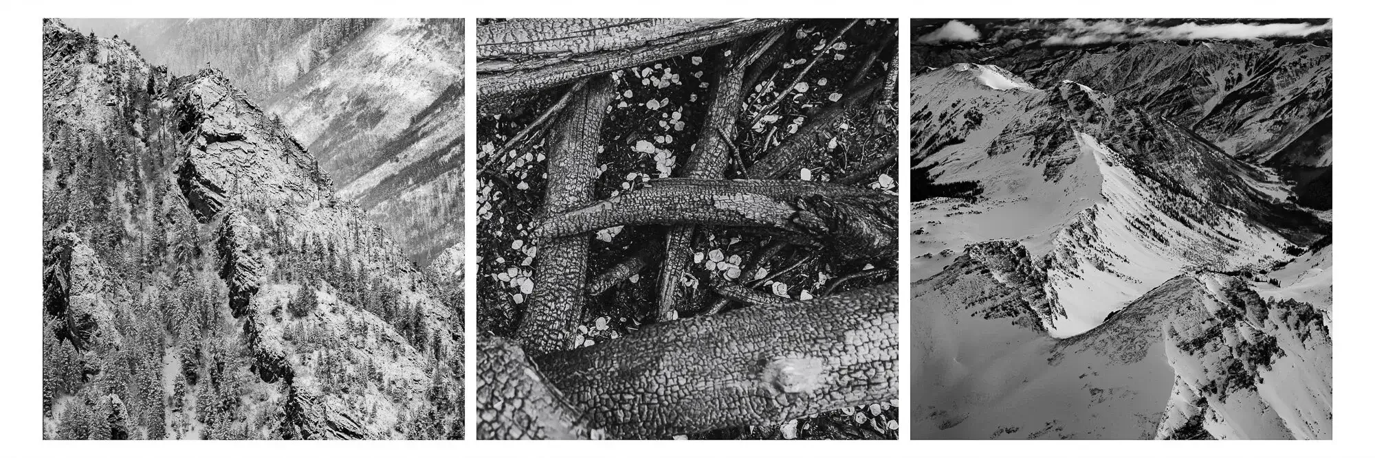 Close-up of a person's face, with a textured overlay that resembles tree branches or frost patterns, giving an artistic, abstract appearance.
