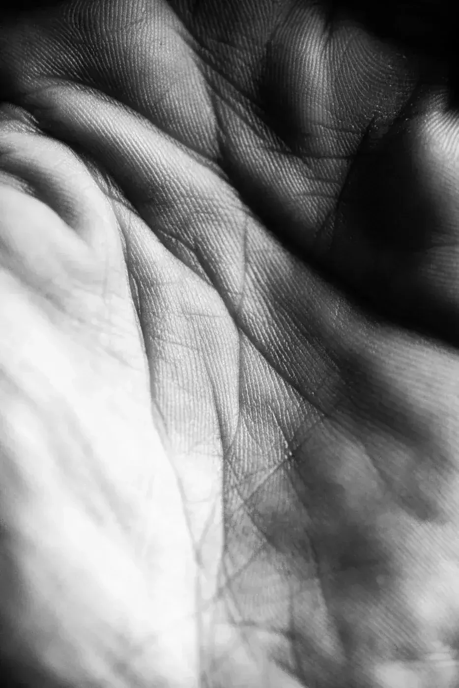 Close-up black and white photograph of human fingers and palm viewed through a delicate, semi-transparent fabric or netting material.
