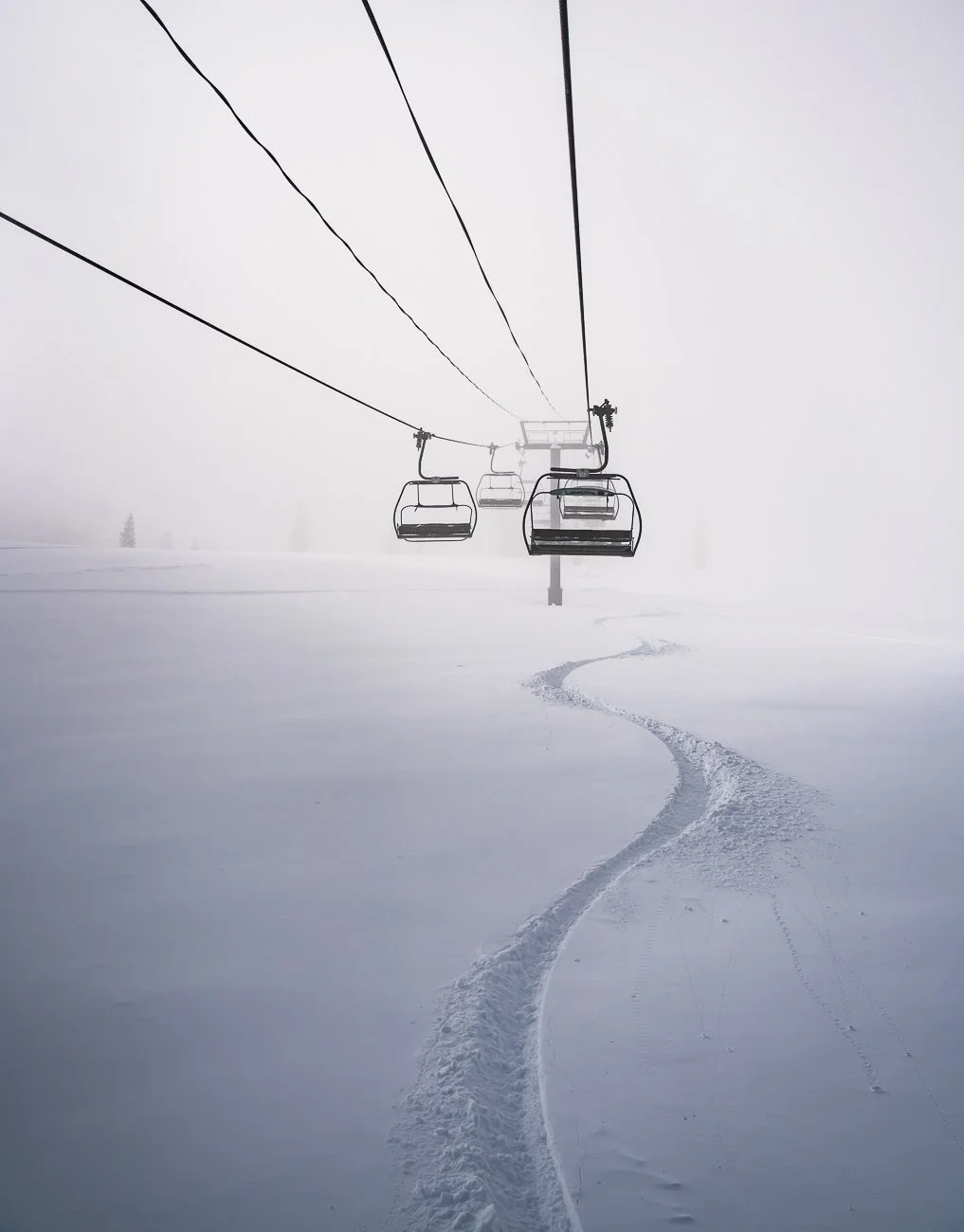 One Lucky Snowboarder, Snowmass Colorado
Winter