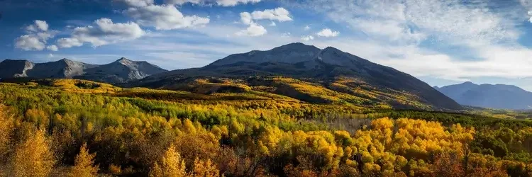 Scenic view of mountains in the distance with a sprawling forest of yellow, green, and orange trees in the foreground under partly cloudy sky.
