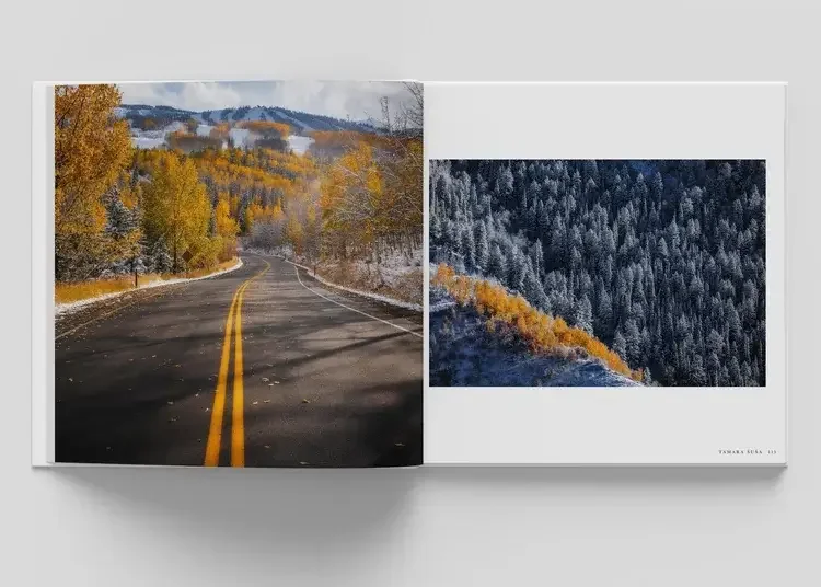 Open book showing a scenic view of a winding road through a forest with autumn colors on the left page and snow-covered trees with some orange foliage on the right page.