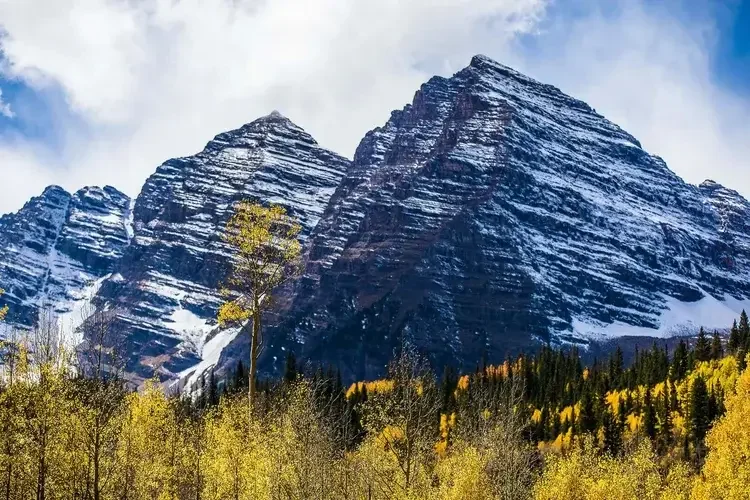 Snow-capped mountain peaks with a forest of yellow and green trees in the foreground.
