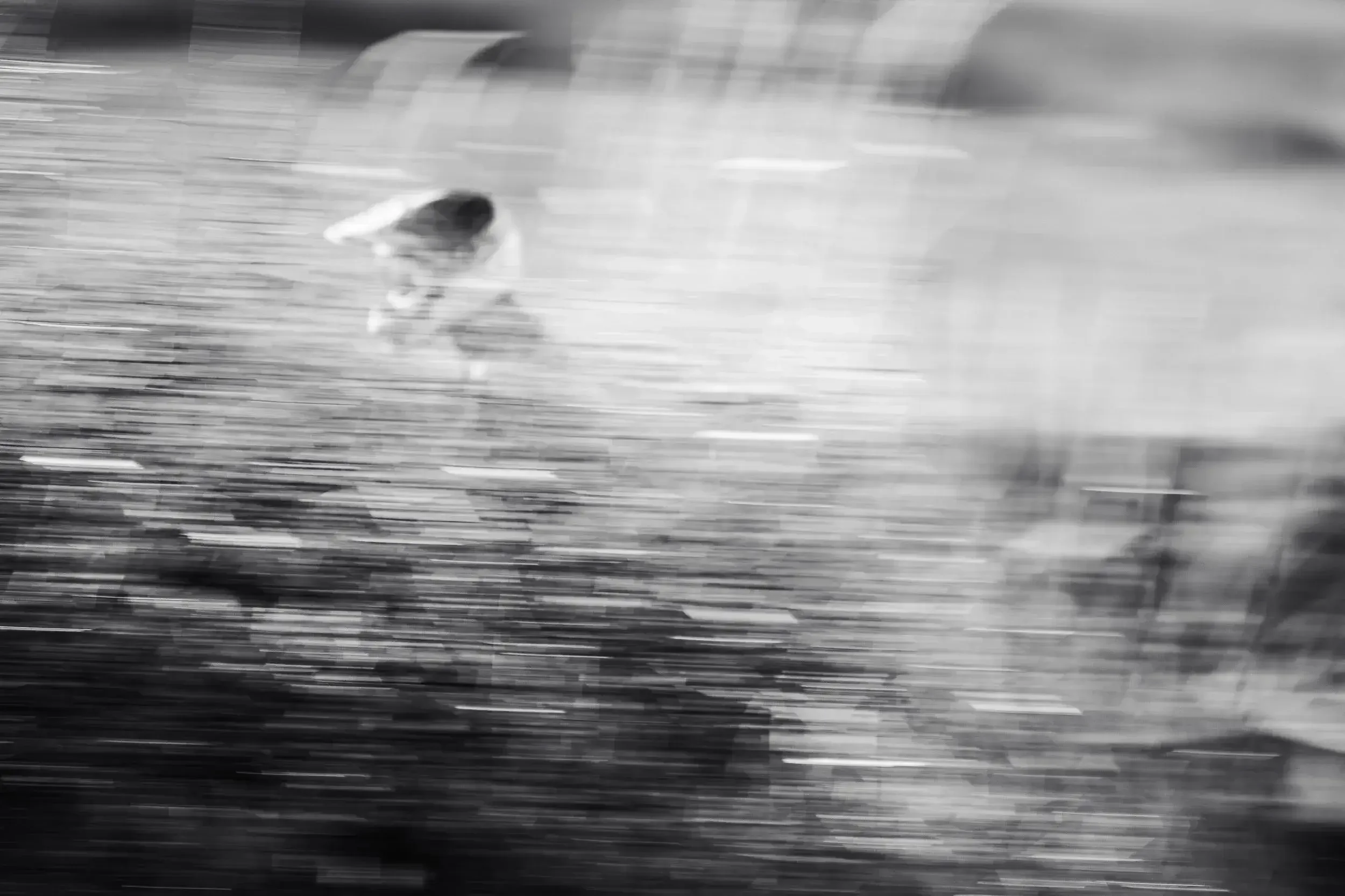 A blurry black and white photo of a dog running across a park, with motion streaks creating a sense of speed.
