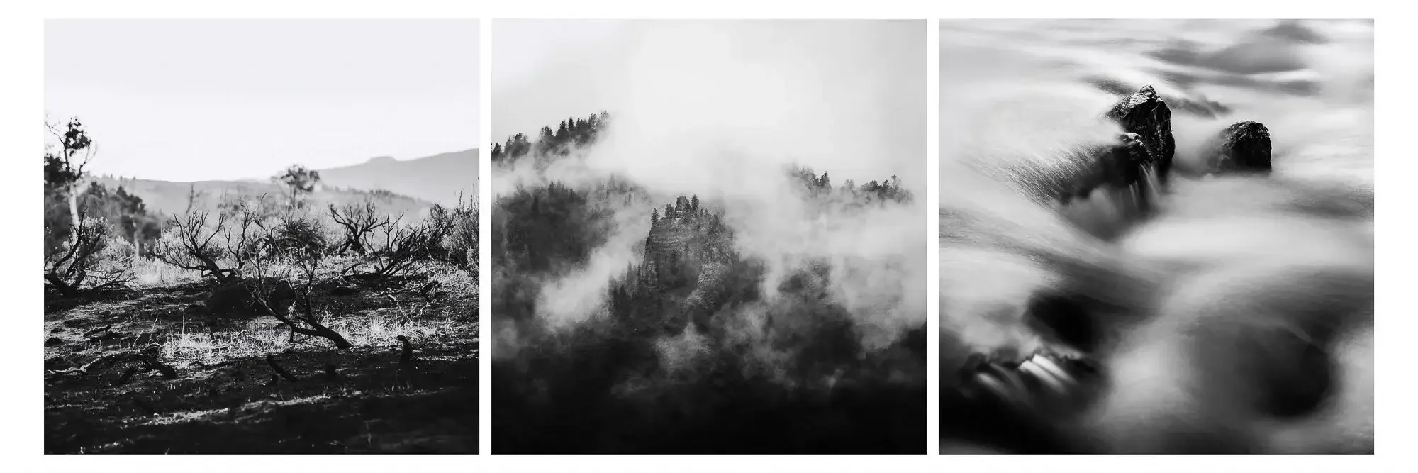 Black and white photograph of a forest with a misty atmosphere, overlooking trees and rocky terrain.