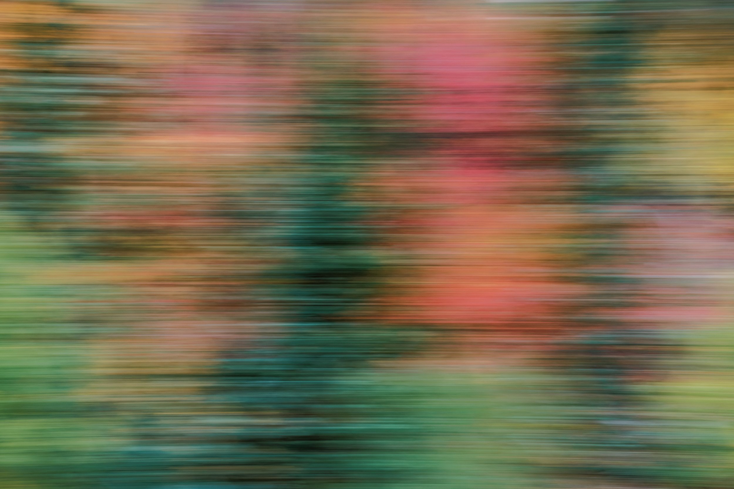 BTX05975.jpg