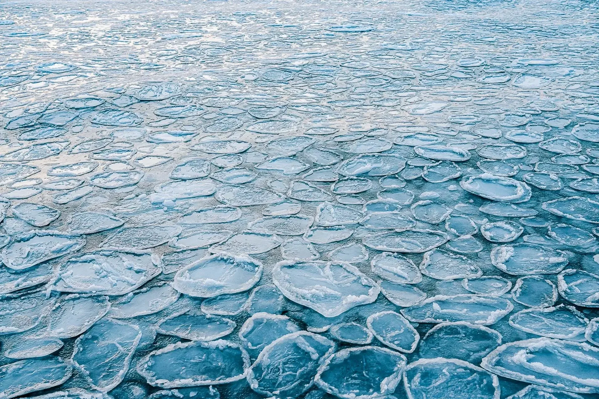 Frozen ice floes on Arctic or Antarctic ocean surface