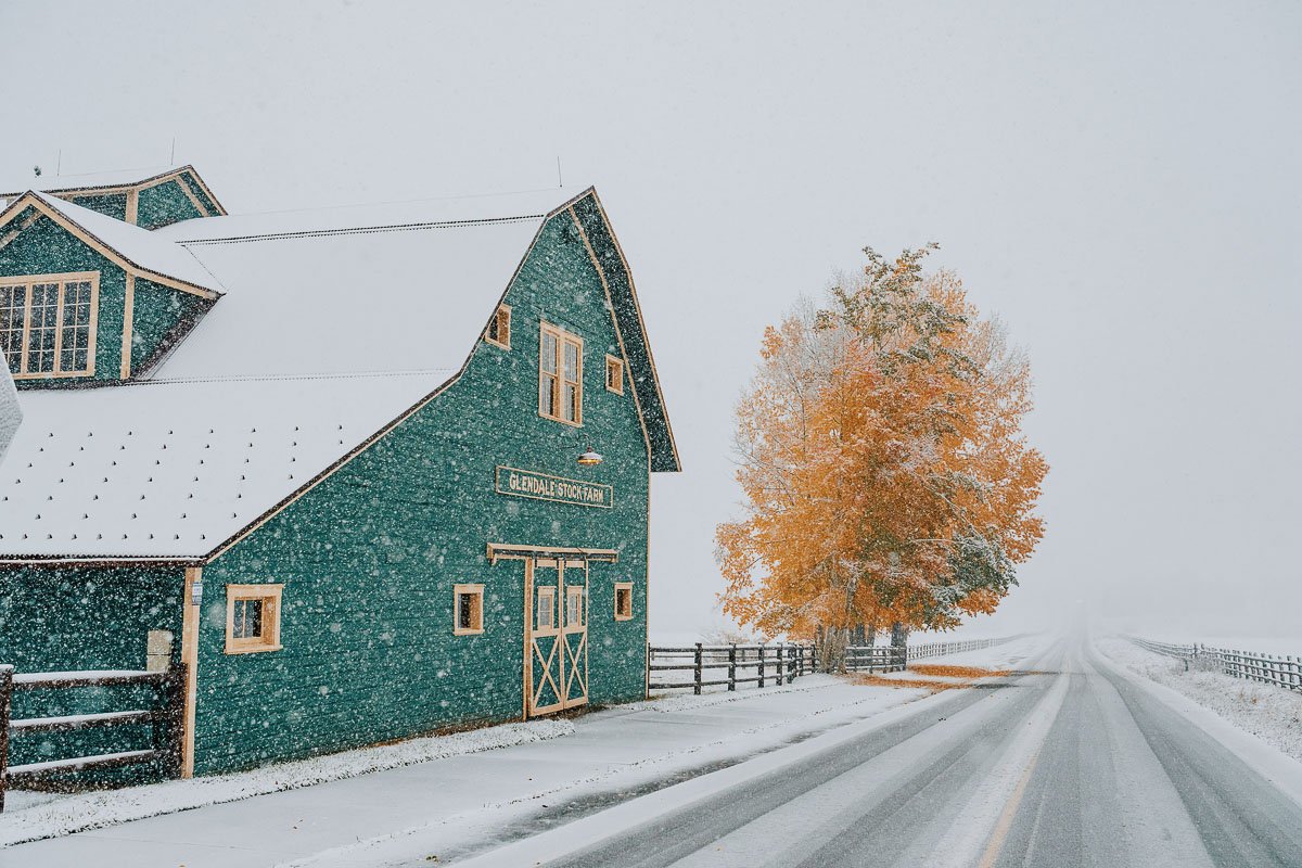 TamaraSusa_HistoricAspen_FallMeetsWinter2025-19.jpg