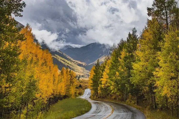 A winding mountain road flanked by trees with yellow and green leaves, with mountains in the background partially covered by clouds and snow, under a cloudy sky.
