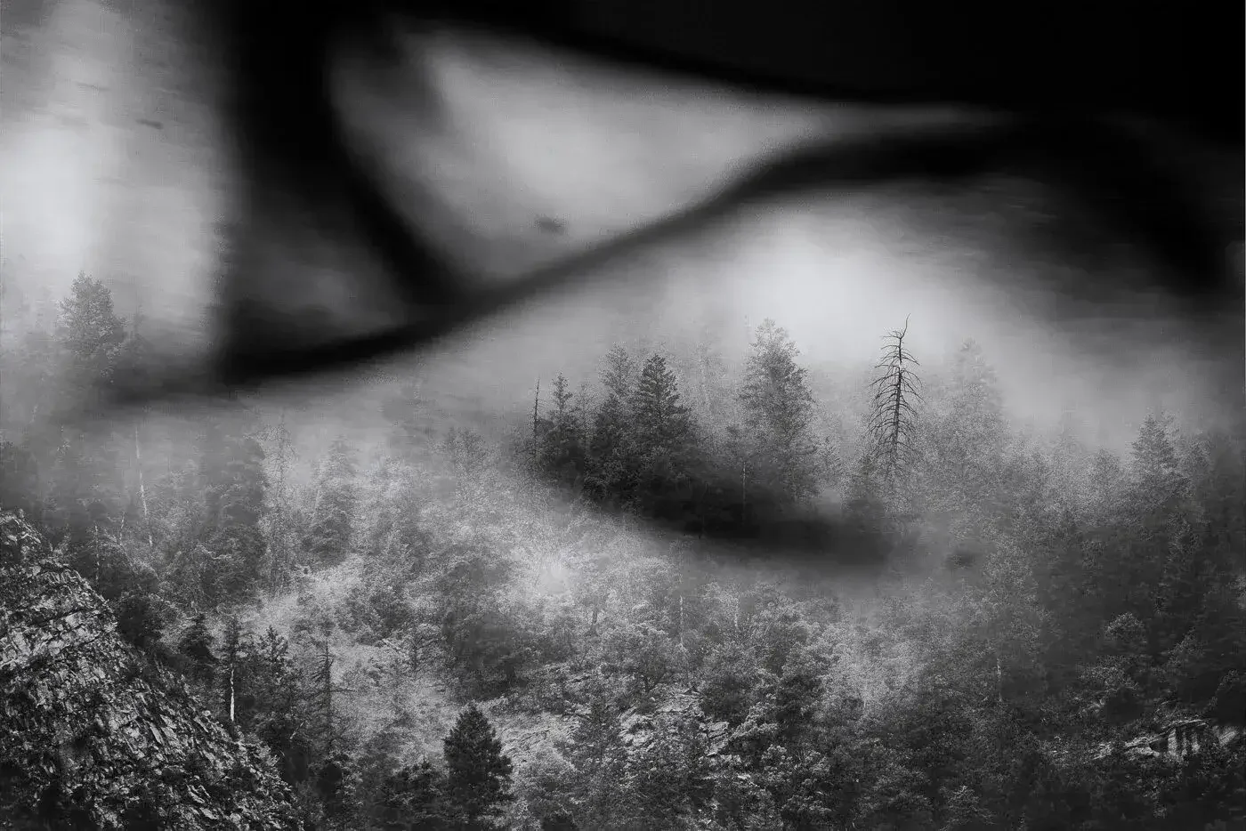 Black and white photograph of a mountain forest with fog, seen through a dark, blurred foreground object.