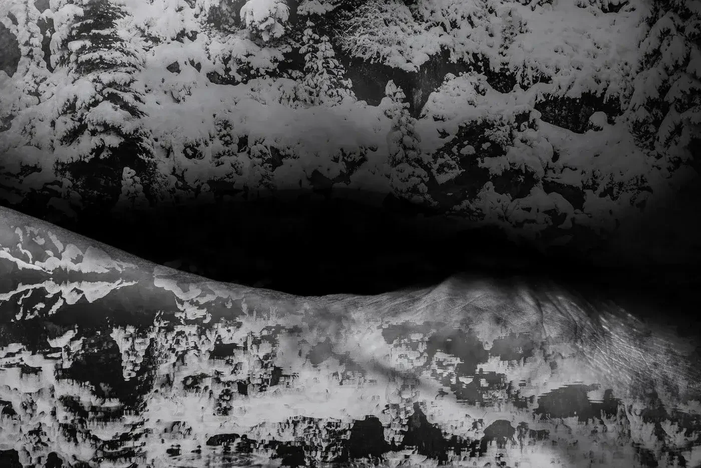 Black and white photo of snow-covered pine trees and a snow-covered landscape, with a reflection of the trees and landscape on a body of water below.
