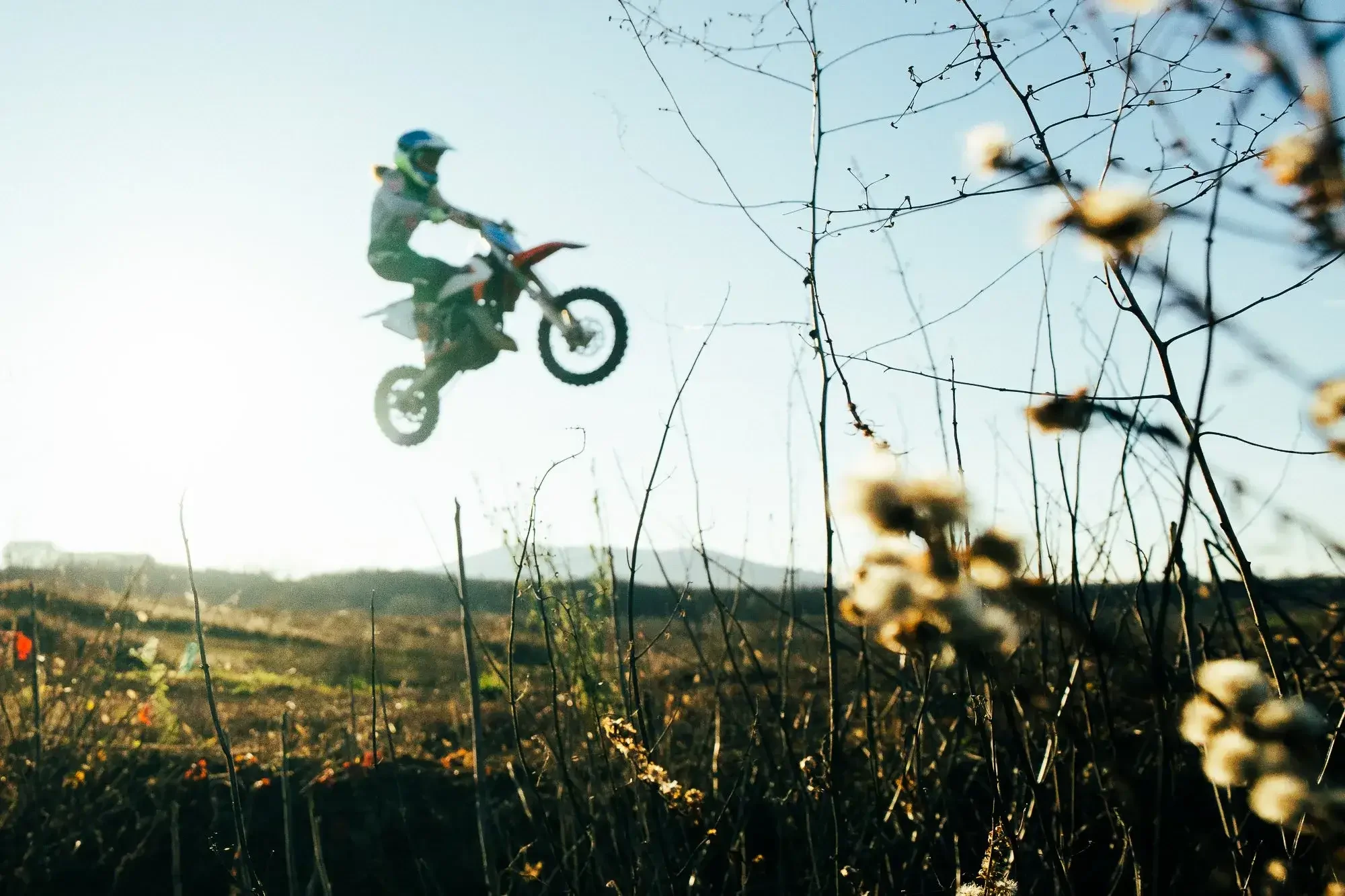 A person performing a jump on a dirt bike in mid-air, viewed through dry plants and flowers, with a clear blue sky in the background.
