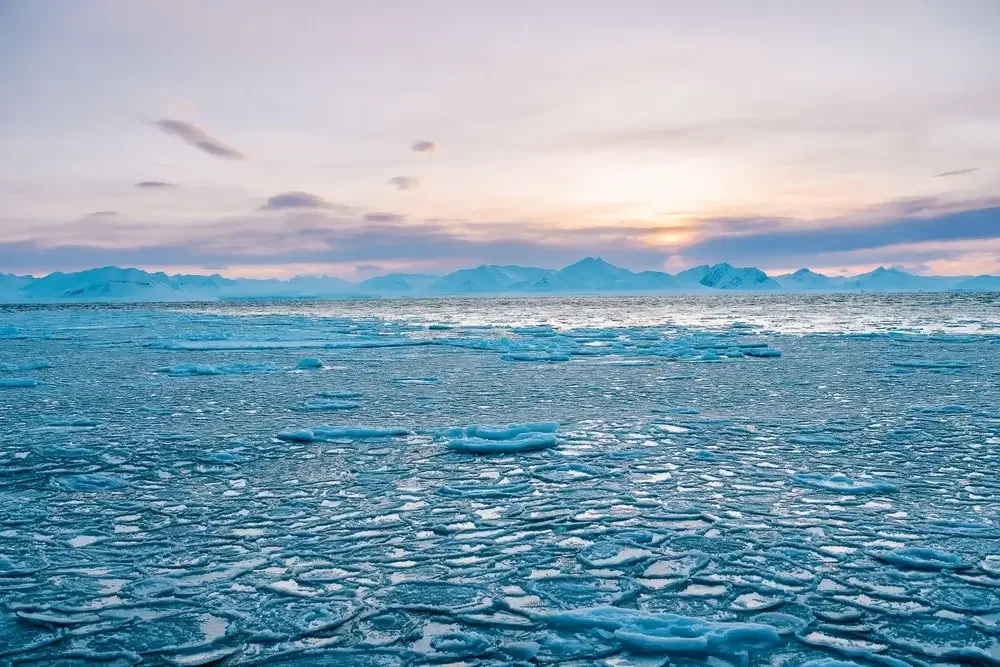 Frozen Arctic landscape with floating ice chunks and snow-covered mountains in the background.
