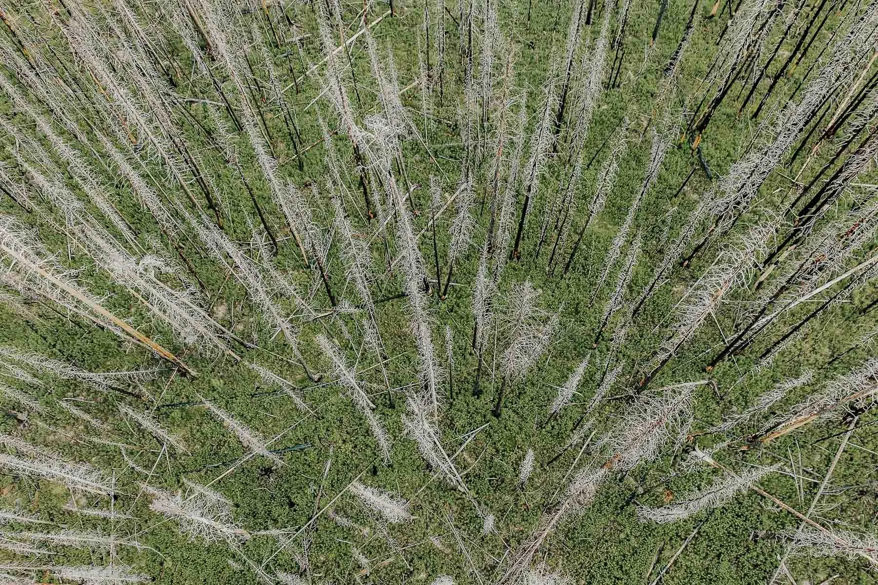 DJI_20240710172114_0034_D.jpg