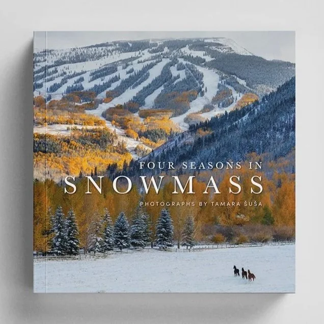 Snowmass_Book_Second_Edition_cover.jpg