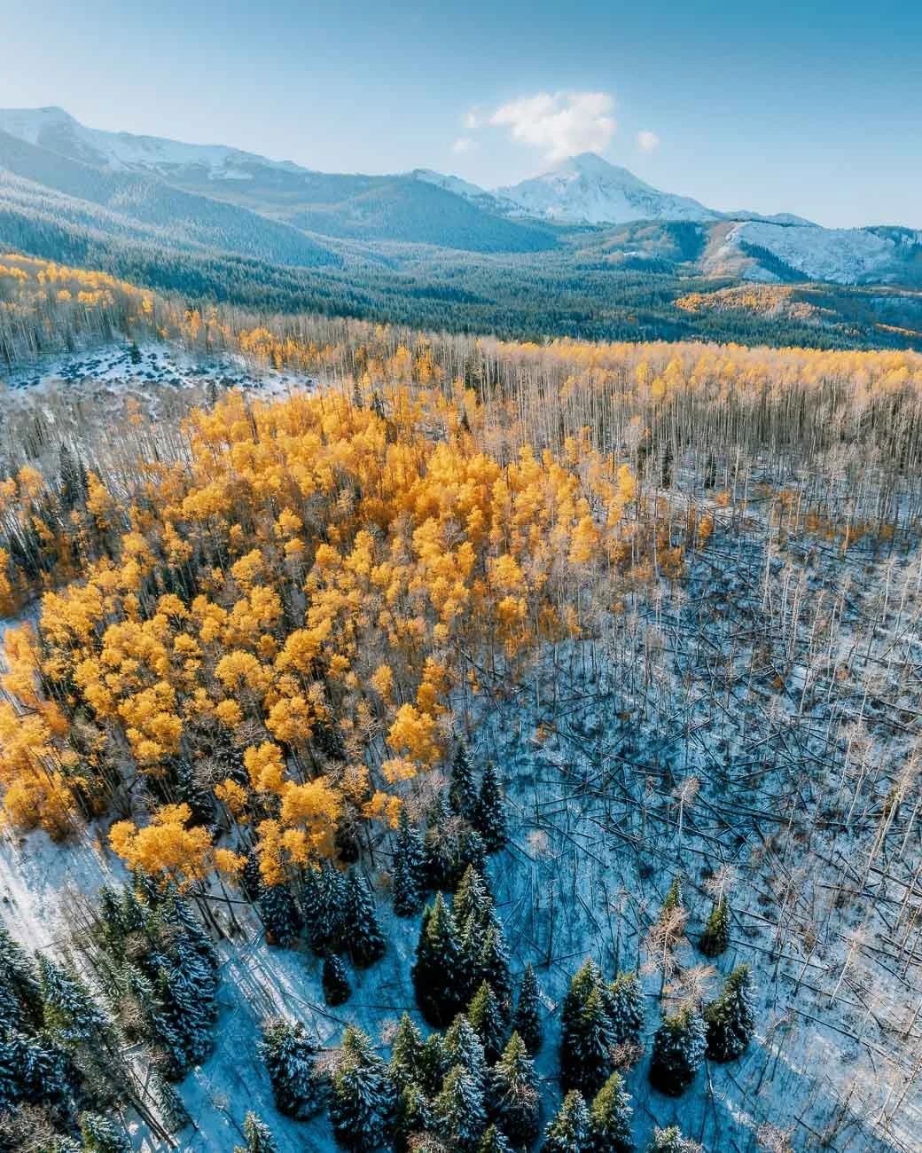 Tamara_Susa_Aerial_Colorado-.jpg