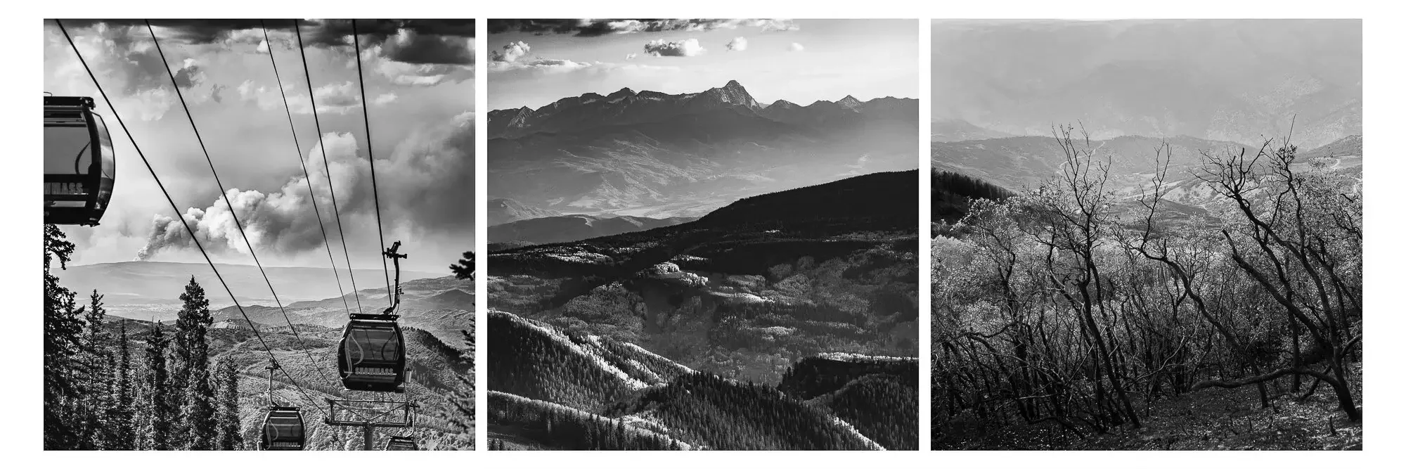 Black and white panoramic collage of mountain landscapes, including cable cars ascending a mountain, rolling hills with forests, and bare trees with distant mountain ranges.