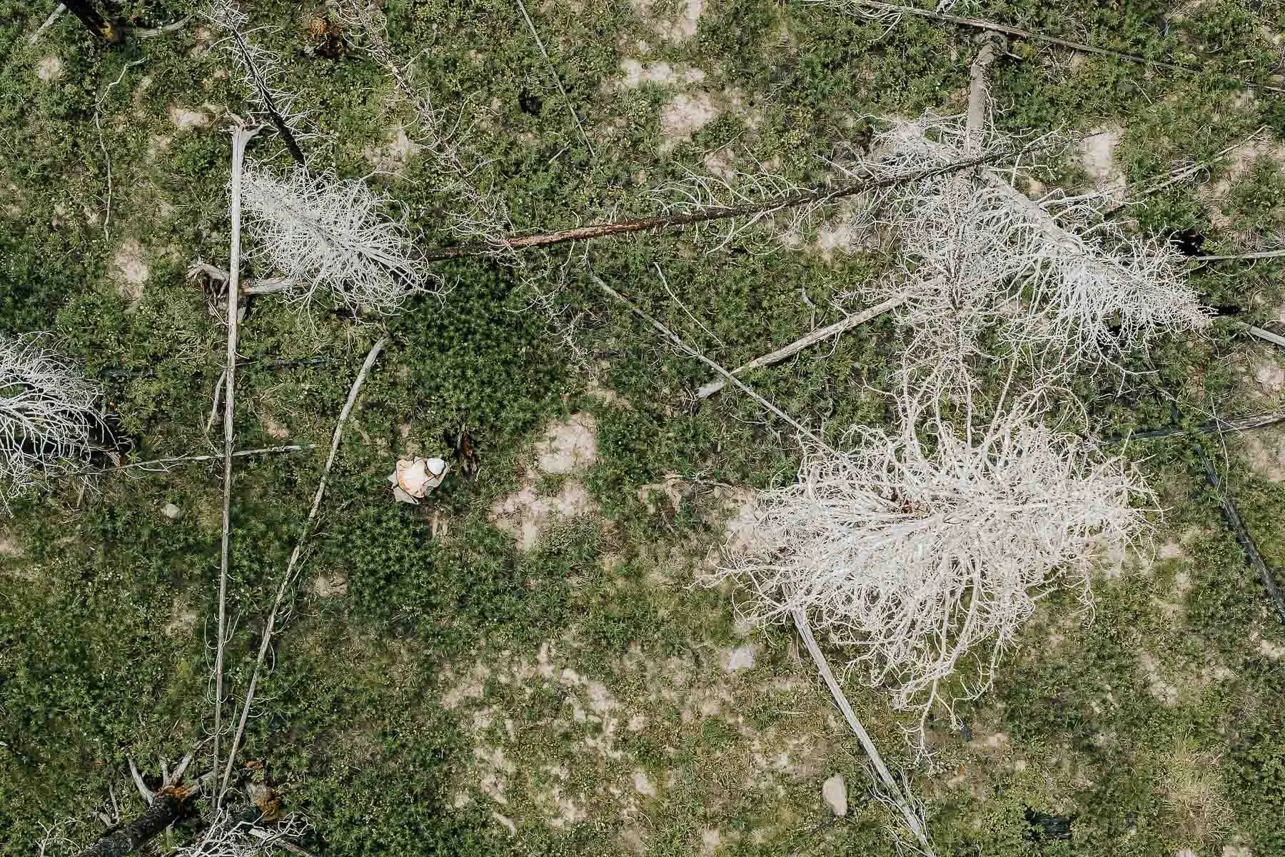 DJI_20240710151437_0008_D.jpg