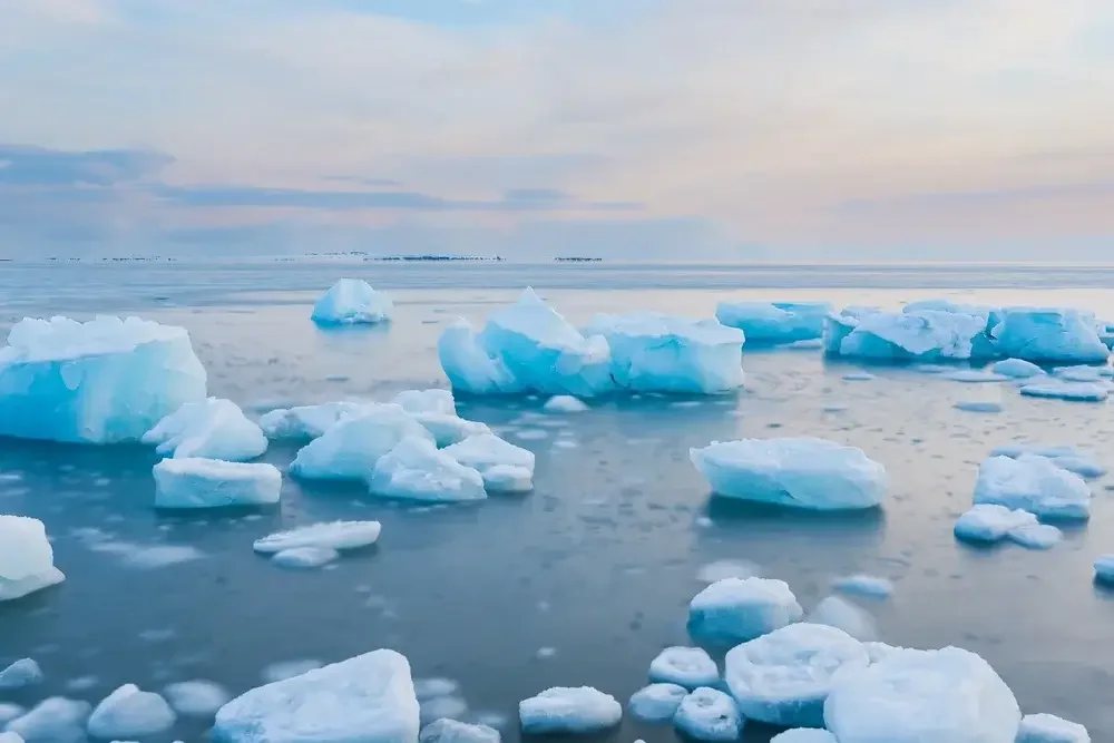 Icebergs floating in calm polar waters under a pastel sky.
