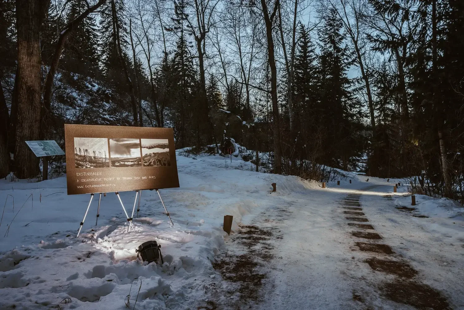 Snow-covered trail in a forest with an informational sign on the left side and a small project signboard. Tall trees with leafless branches surround the area during dusk.