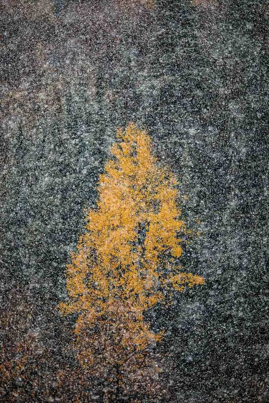 Tamara_Susa_Fall_Meets_Winter_Colorado-0569.jpg