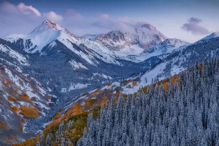 Snow-covered mountain range with evergreen trees in the foreground and autumn-colored trees on the slopes, under a partly cloudy sky.
