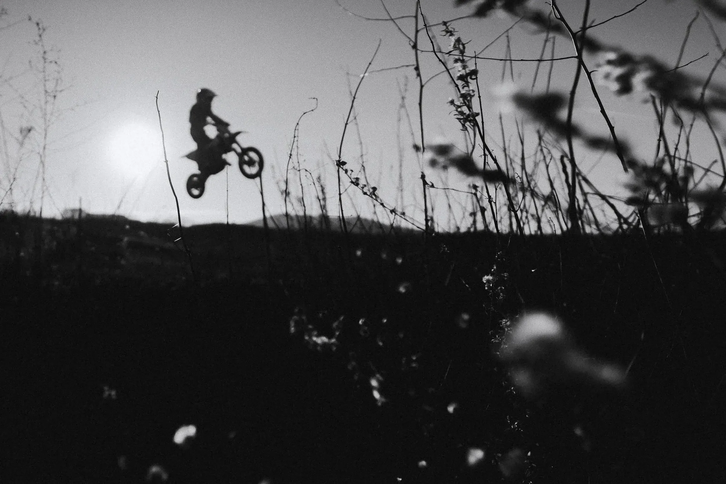 Silhouette of a person performing a stunt on a motorcycle against the bright sky, with bare tree branches in the foreground and background.
