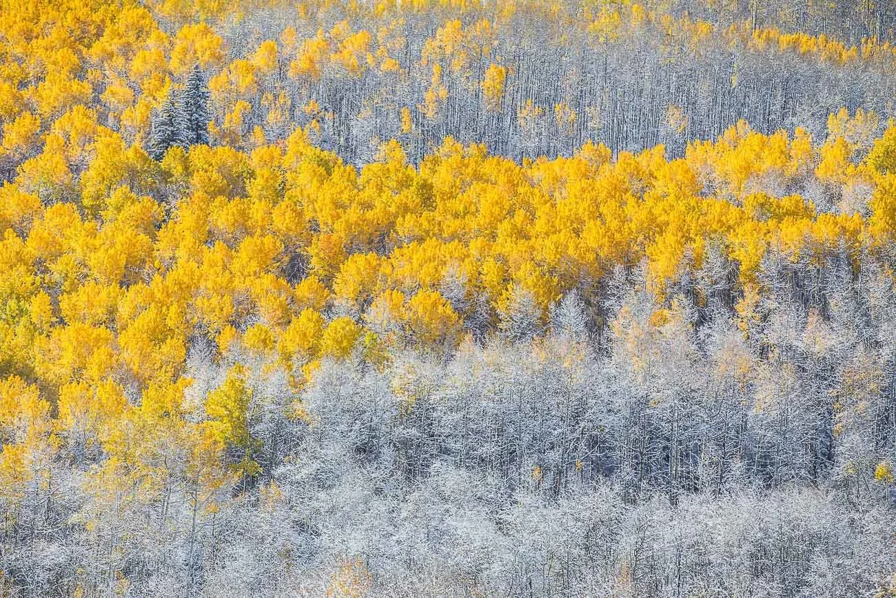 Seasons Collide