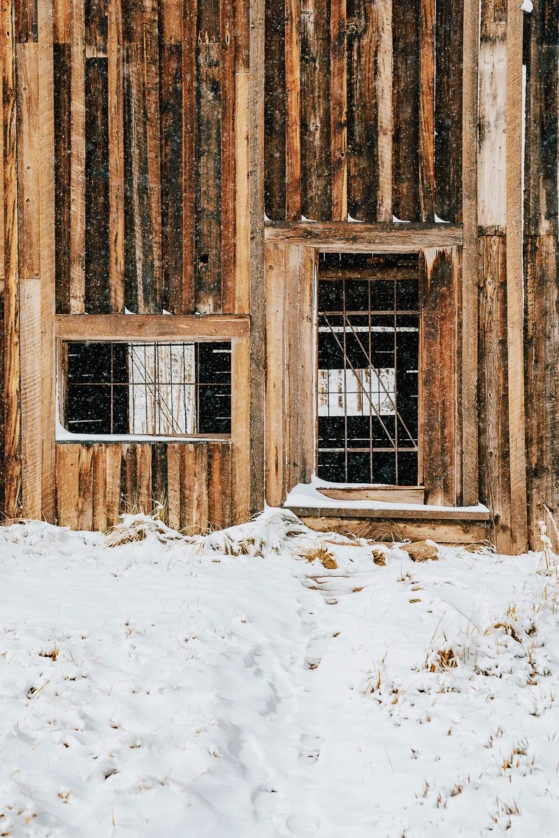 TamaraSusa_HistoricAspen_FallMeetsWinter2025-71.jpg